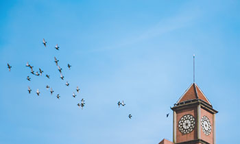 3868la银河总站(china)股份有限公司 - Make It Possible